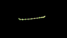 Load image into Gallery viewer, Chrome Tourmaline Faceted Rondelle Bracelet - Elegant Elements By Kelly
